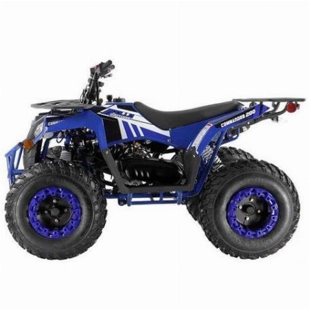 New 2024 Apollo Commander 200 for Sale